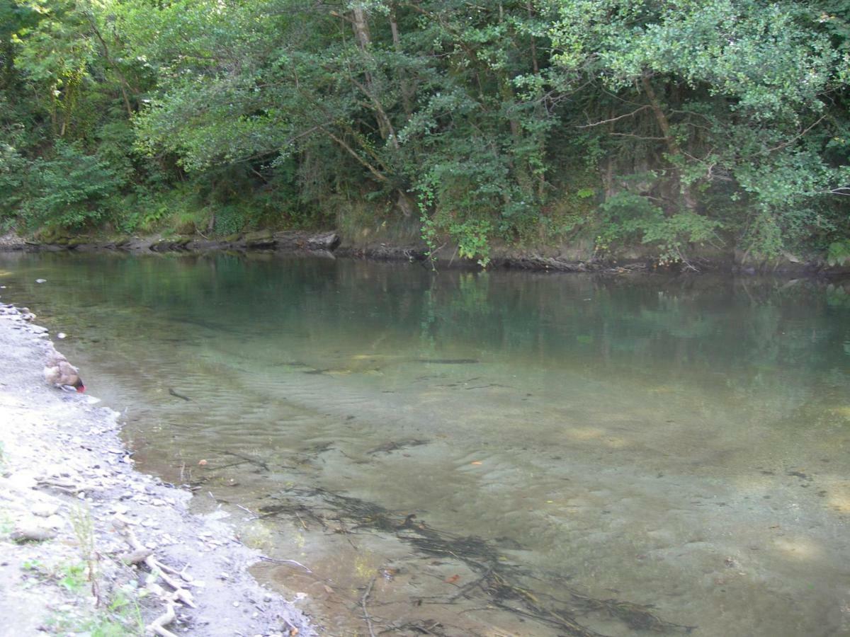 Appartement Les Rives De L'Ariege Luzenac エクステリア 写真