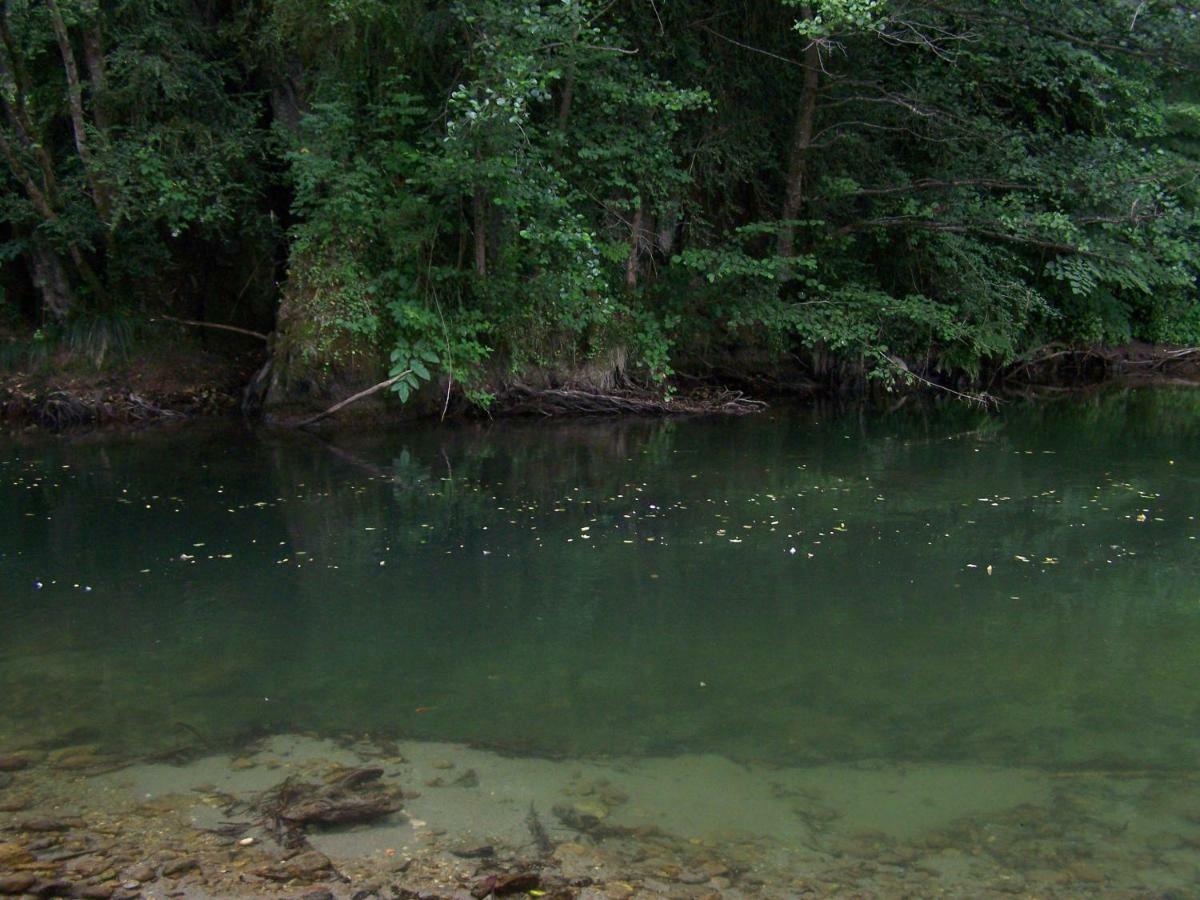Appartement Les Rives De L'Ariege Luzenac エクステリア 写真
